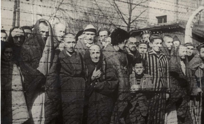 Yahudi bir kadının Auschwitz-Birkenau gezisi